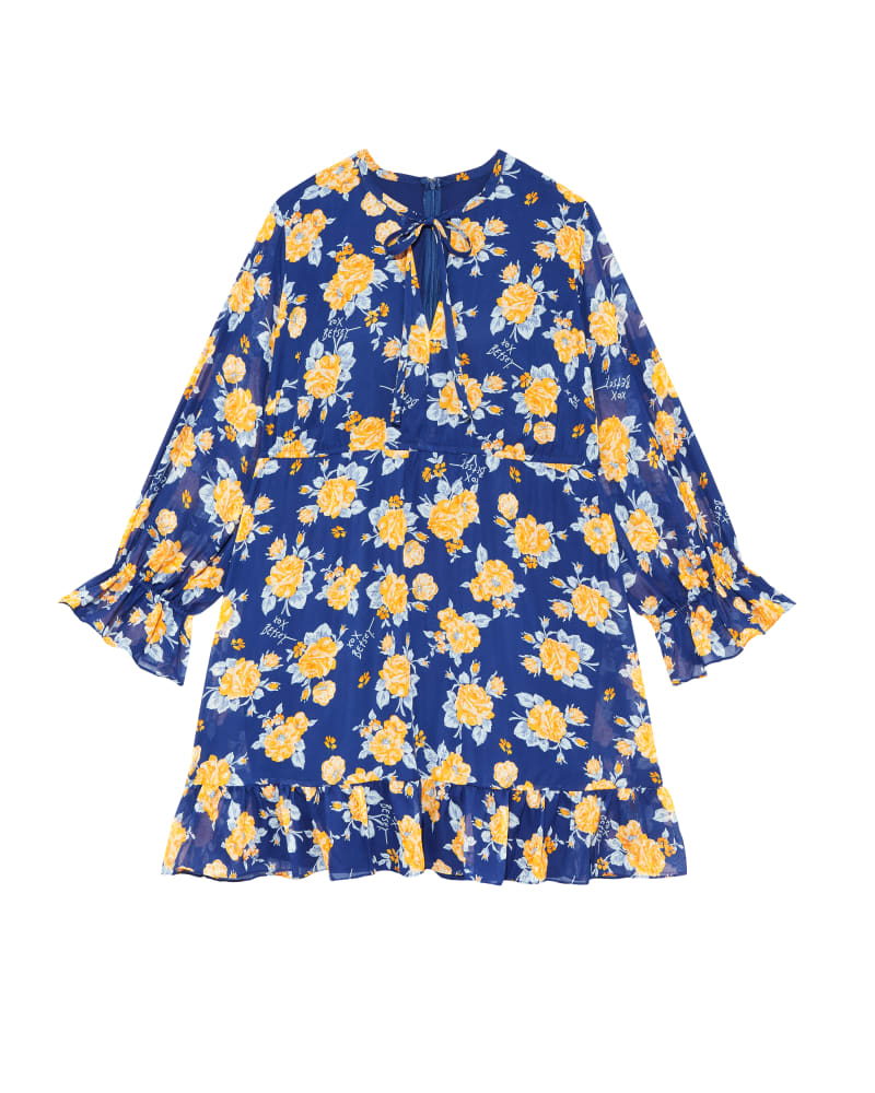 Front of plus size Rosemont Chiffon Long Sleeve Dress by Betsey Johnson | Dia&Co | dia_product_style_image_id:120132